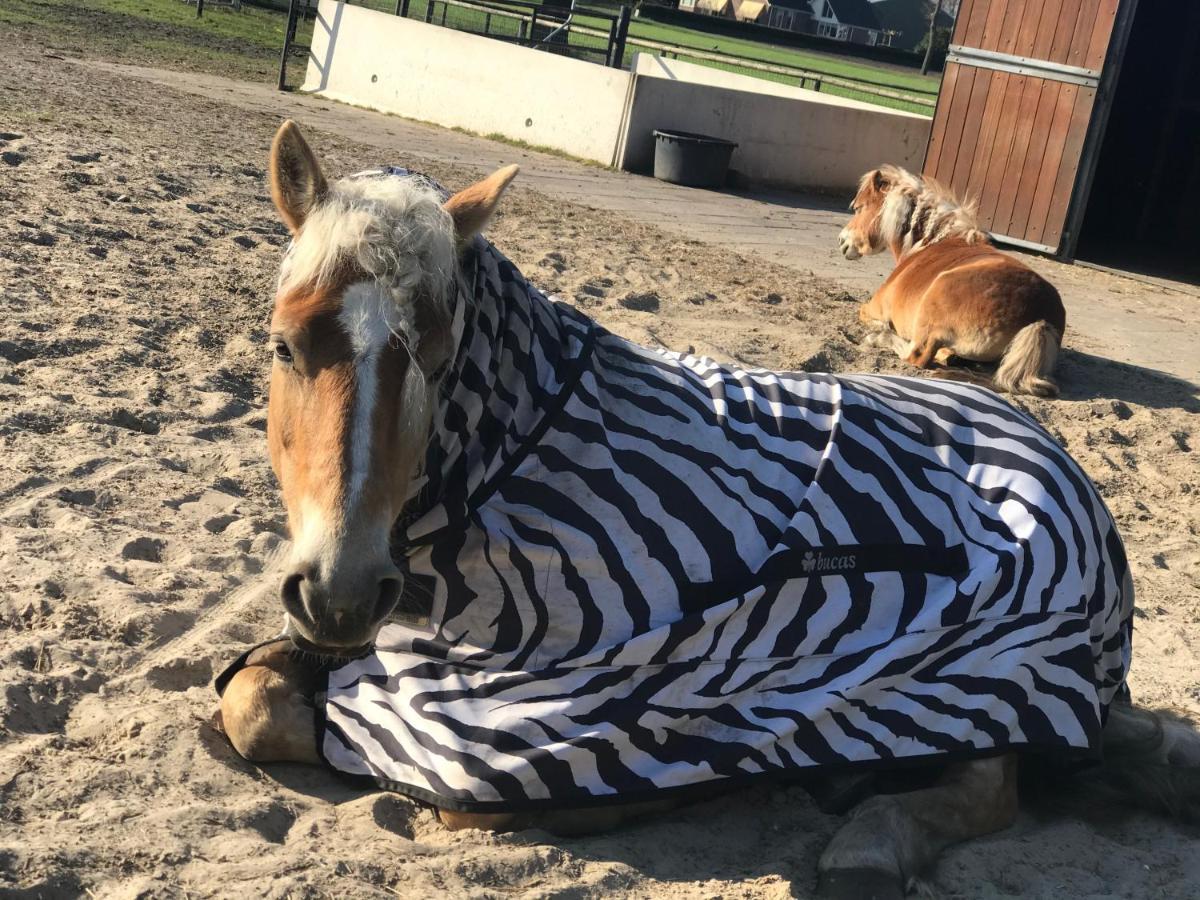 Landelijk Hijken Bed & Breakfast Eksteriør bilde