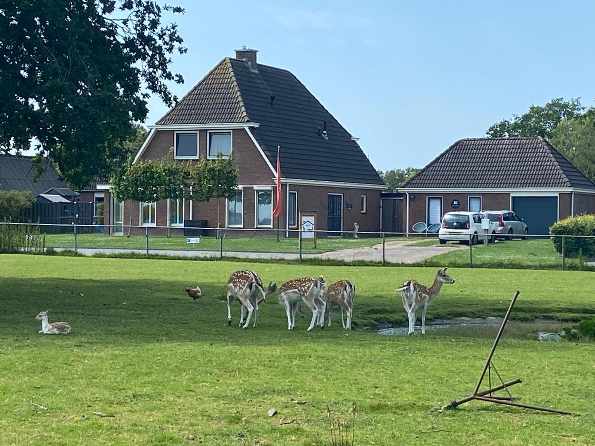 Landelijk Hijken Bed & Breakfast Eksteriør bilde